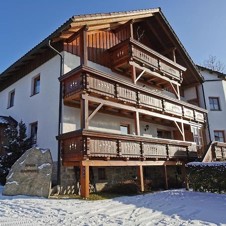 Haus Haidweg - Ferienwohnungen In Haidmuehle Im Dreilaendereck De-Cz-At ภายนอก รูปภาพ