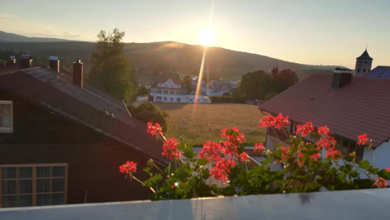 Haus Haidweg - Ferienwohnungen In Haidmuehle Im Dreilaendereck De-Cz-At ภายนอก รูปภาพ
