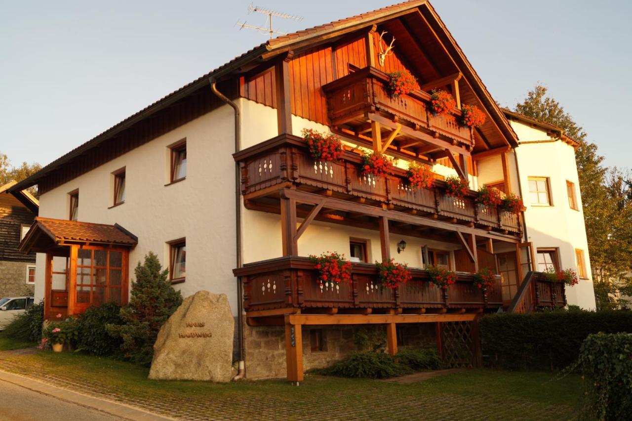 Haus Haidweg - Ferienwohnungen In Haidmuehle Im Dreilaendereck De-Cz-At ภายนอก รูปภาพ